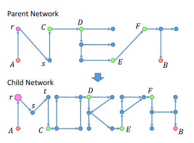 Network Morphism